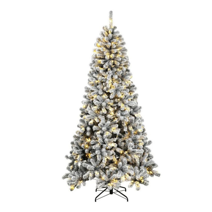 Grote besneeuwde Northern pine met lichtjes
