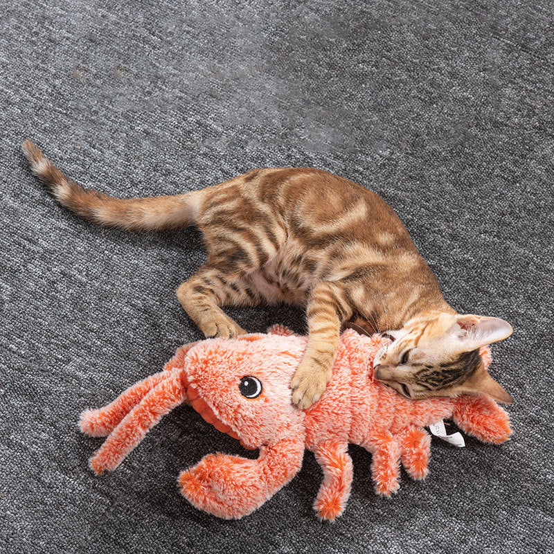 Oranje pluche kreeft kattenspeelgoed