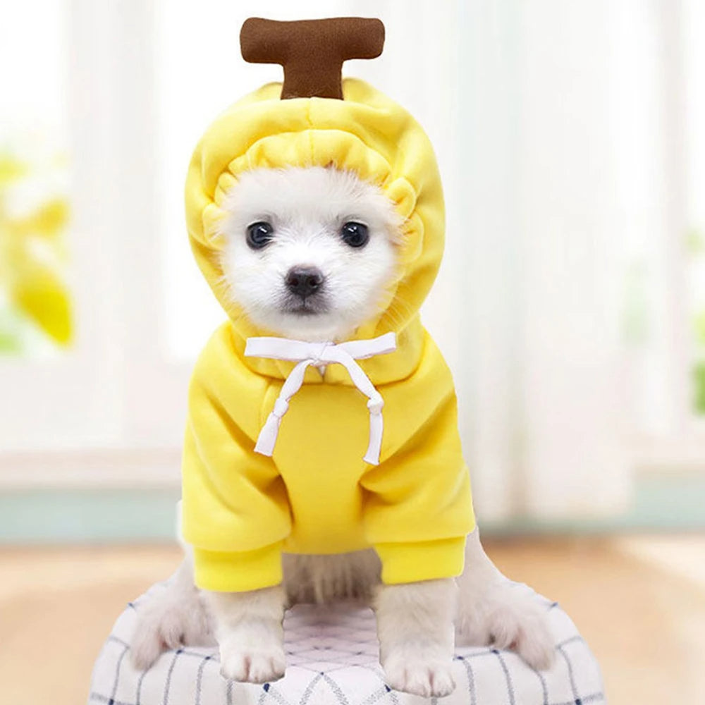 Kleine hond in fleece hoodie met appelprint