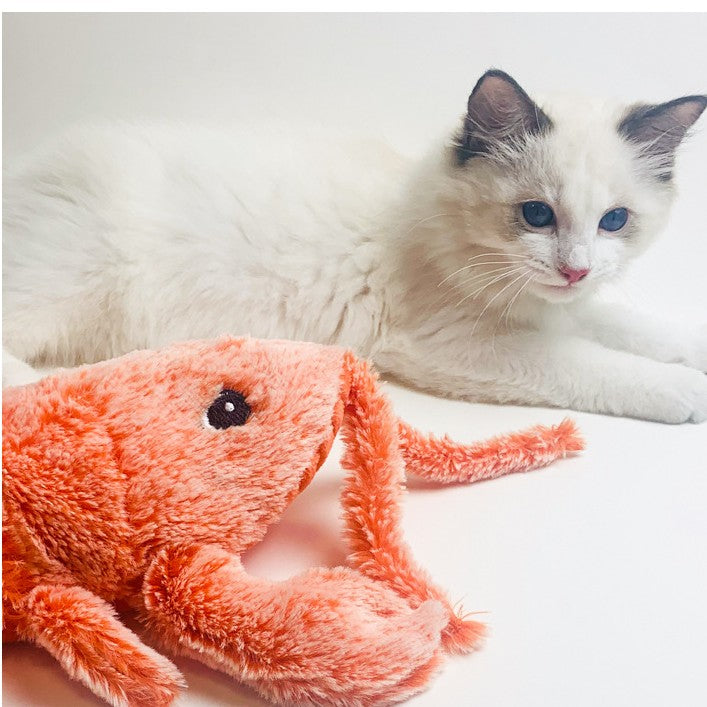 Oranje pluche kreeft kattenspeelgoed