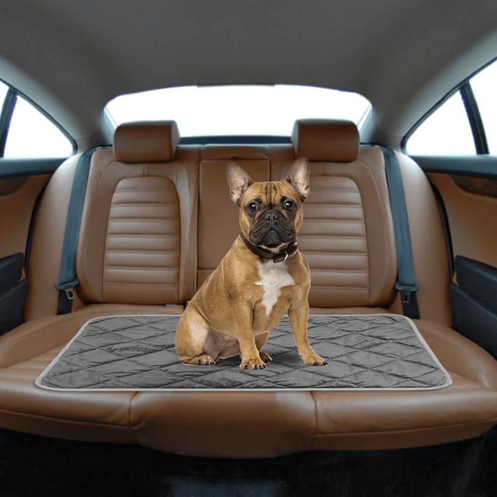 Warmtewereld™ Zelfverwarmend ligkussen voor hond en kat met antislip onderkant