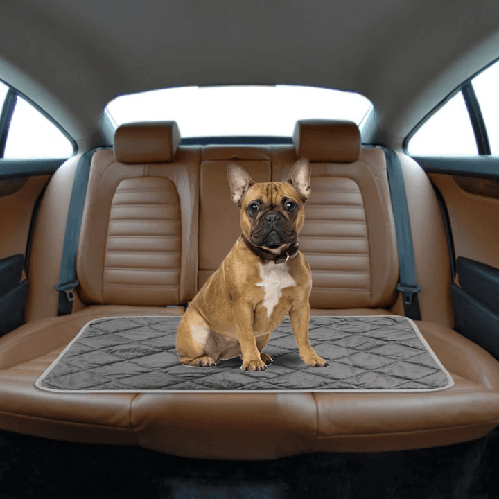 Warmtewereld™ Zelfverwarmend ligkussen voor hond en kat met antislip onderkant
