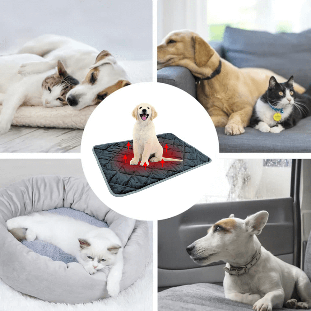 Warmtewereld™ Zelfverwarmend ligkussen voor hond en kat met antislip onderkant