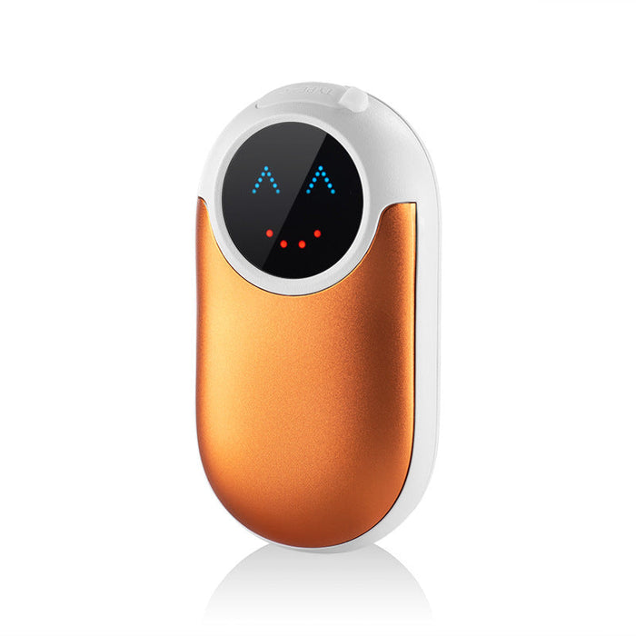 Warmtewereld™ Slimme handwarmer en powerbank in één met temperatuurregeling