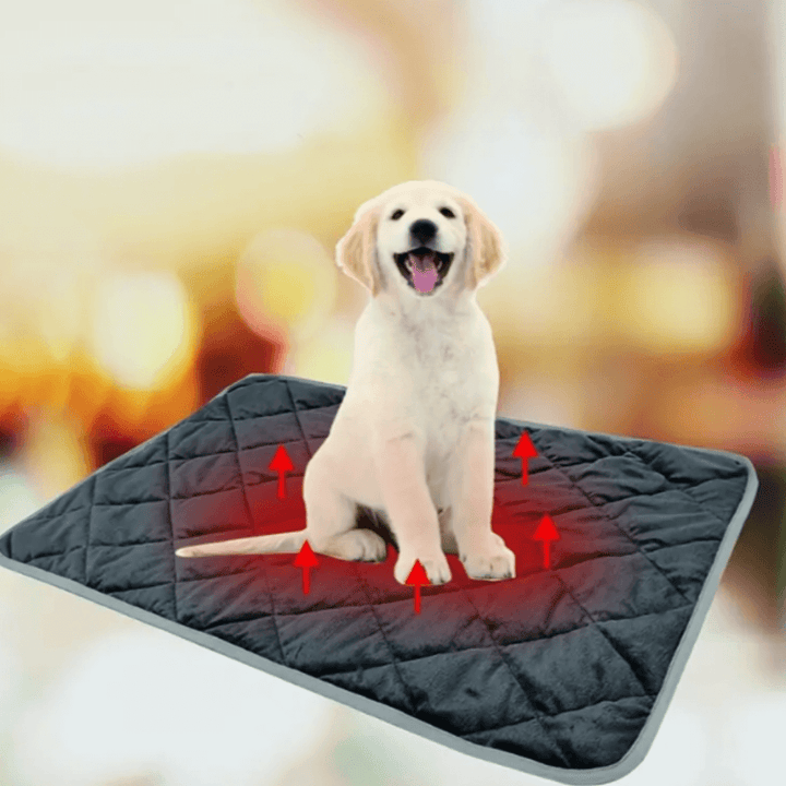 Warmtewereld™ Zelfverwarmend ligkussen voor hond en kat met antislip onderkant