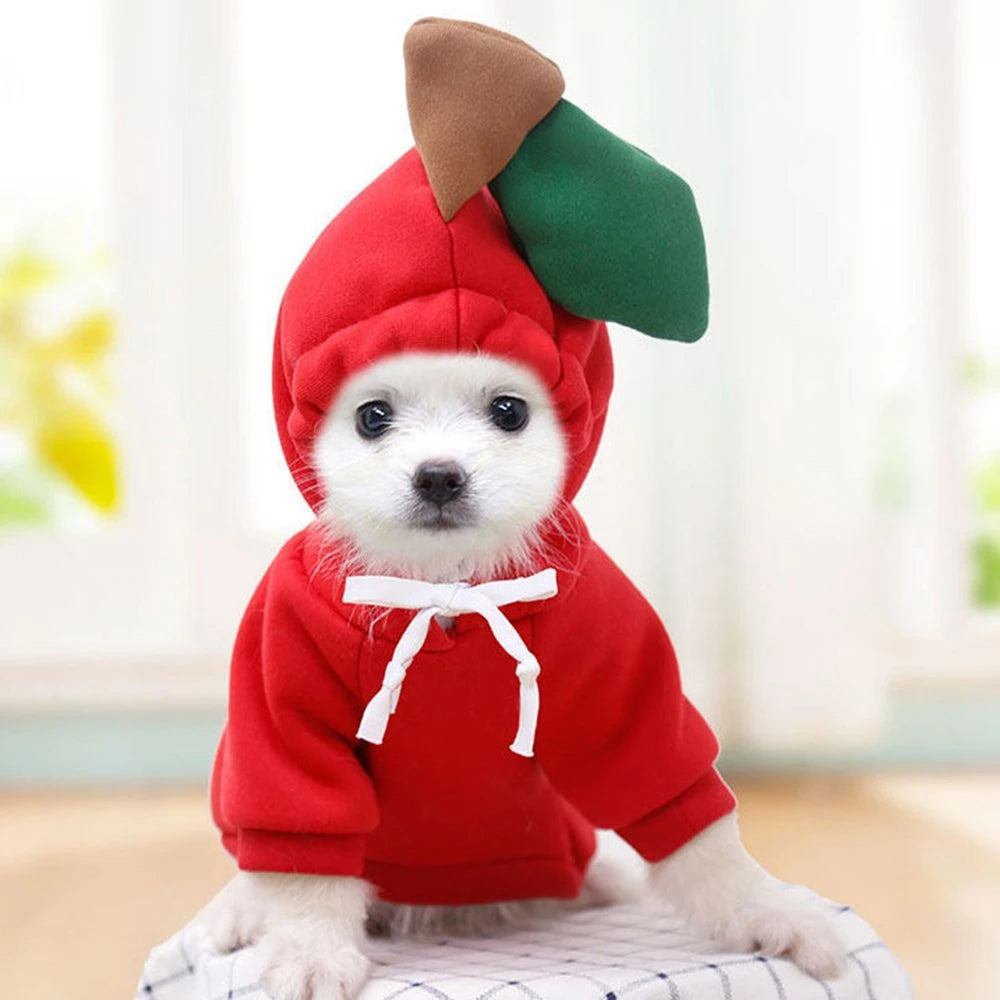 Kleine hond in fleece hoodie met appelprint