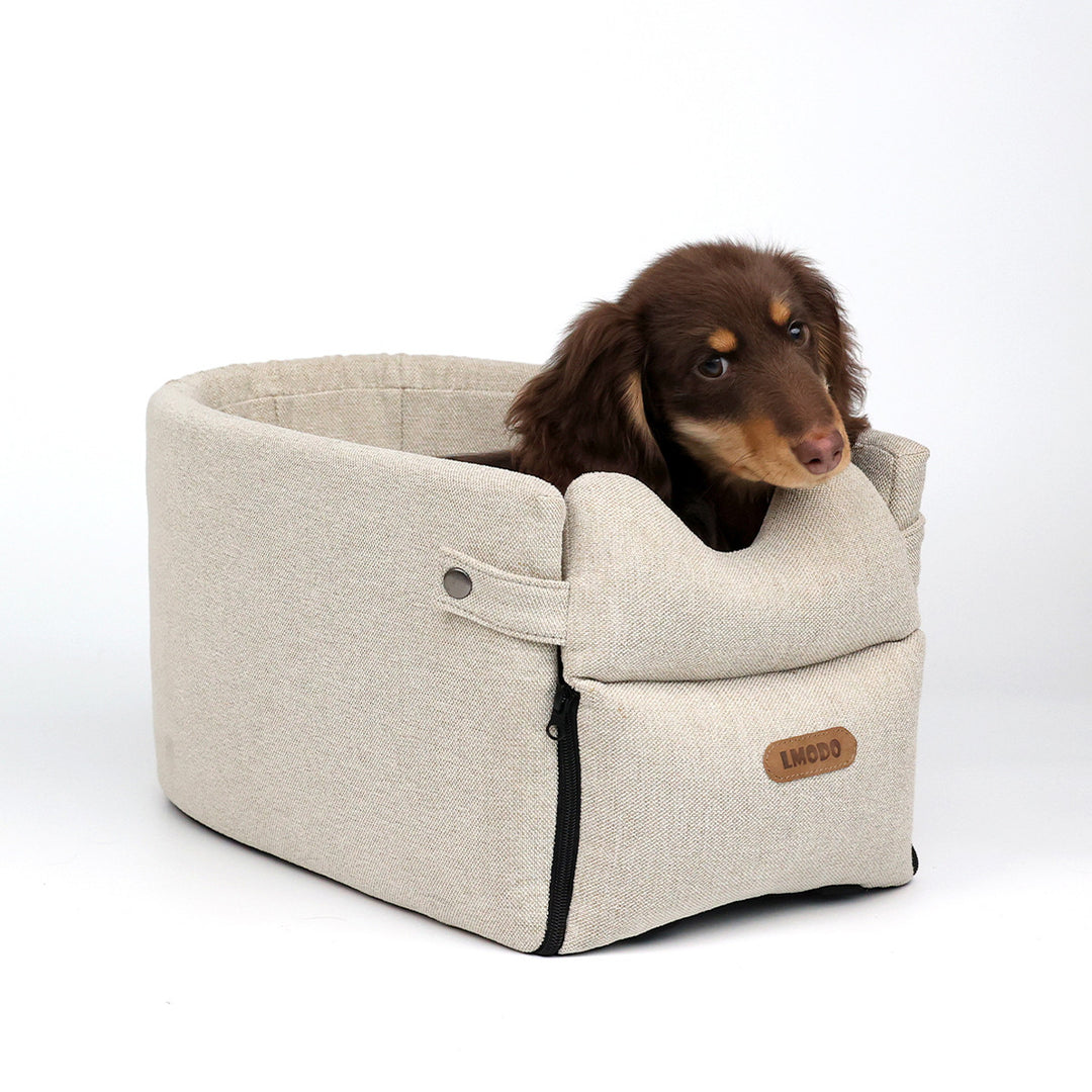 Kleine hond in een beige autostoeltje op de armleuning